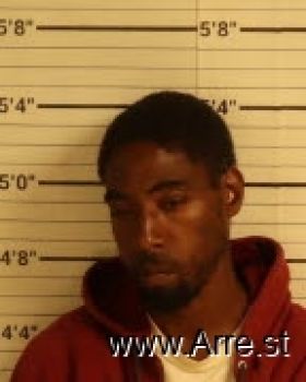 Willie J Hollins Mugshot