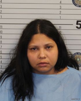 Wilma Jose Guedez Herrera Mugshot