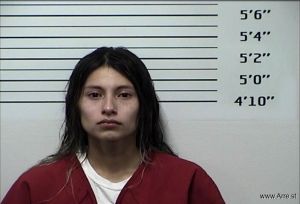 Angalina Lopez Arrest Mugshot