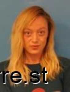 Ashley Larkins Arrest Mugshot