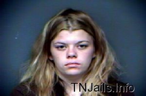 Ashley Seiber Arrest