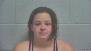 Amanda  Dyer Arrest Mugshot