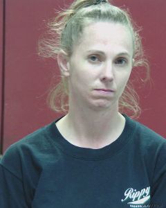 Amy Mcginnis Arrest Mugshot