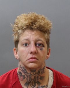 Anna Huggins Arrest Mugshot