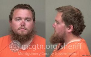 Austin Snelling Arrest Mugshot