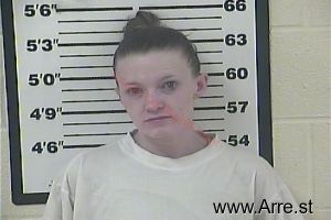 Brittany Nidiffer Arrest Mugshot