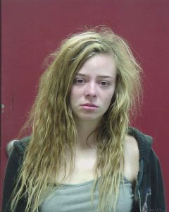 Brittany Mclaughlin Arrest Mugshot