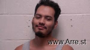 Christian Anzora-nolasco Arrest Mugshot