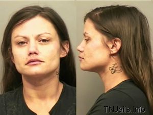 Dana Adkins Arrest Mugshot