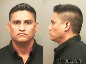 Daniel Beltran Arrest Mugshot