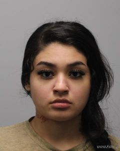 Daniela Rosales Arrest Mugshot