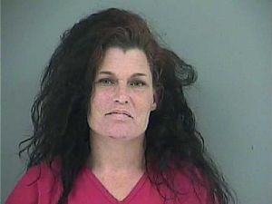 Donna Zsizseri Arrest Mugshot