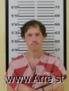 Dustin Braswell Arrest Mugshot