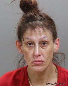 Dustie Mcmillan Arrest Mugshot