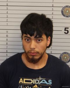 Fidel Navarro Lopez Arrest Mugshot