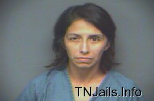 Gina Davis Arrest