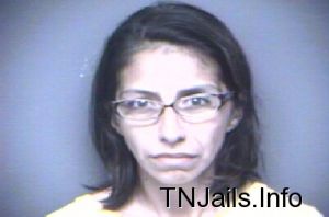 Gina Davis Arrest Mugshot