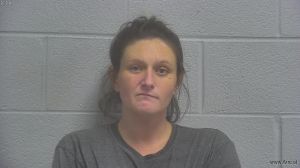 Hollie Frazier Arrest Mugshot