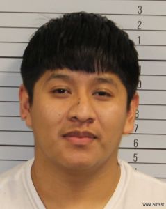 Ignacio Ruiz Esteban Arrest Mugshot