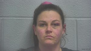 Jessica  Maples Arrest Mugshot