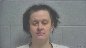 Jessica Raines Arrest Mugshot