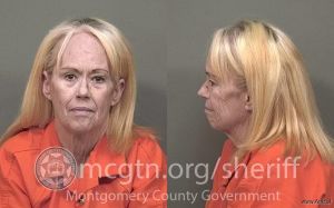 Julie Johnson Arrest Mugshot