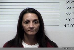 Kristina Friddell Arrest Mugshot