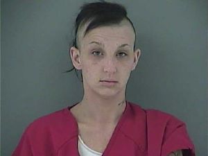 Ladonna Mcintosh Arrest Mugshot