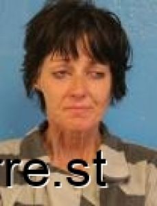 Lisa Messick Arrest Mugshot