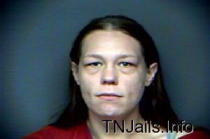 Lucinda Haynes Arrest Mugshot