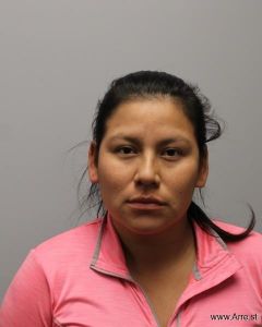 Maria Lopez Sanchez Arrest Mugshot