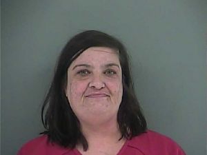 Melinda Adcock Arrest Mugshot