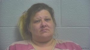 Melinda England Arrest Mugshot