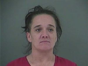 Melinda Webb Arrest Mugshot