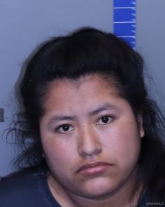 Mari Perez Lopez Arrest Mugshot