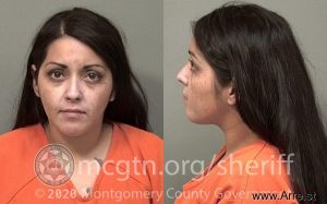 Megan Garcia Arrest Mugshot
