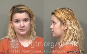 Michelle Perigo Arrest Mugshot