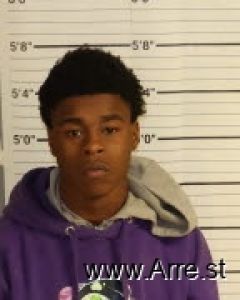 Ni Jamison Arrest Mugshot