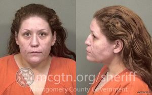 Nastasia Thaler Arrest Mugshot