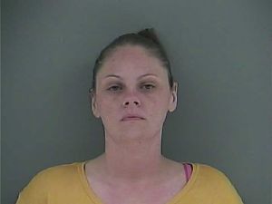 Patricia Hamilton Arrest Mugshot