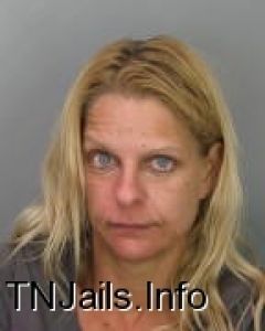 Pam Fitzgerald Arrest Mugshot