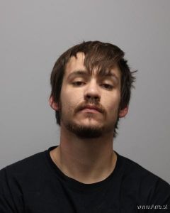 Robert Ellis Arrest