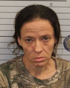 Rhonda Wallace Arrest Mugshot