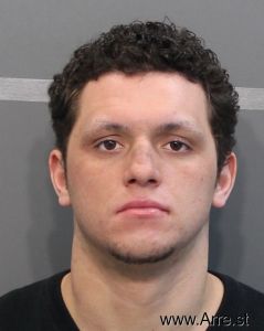 Ruslan Shaylitsa Arrest Mugshot