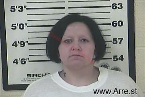 Susie Danner Arrest Mugshot