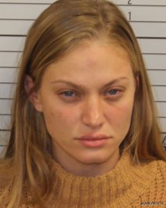 Samantha Leviner Arrest Mugshot