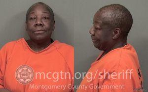 Sandra Watkins Arrest Mugshot