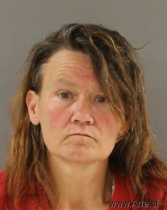 Sandra Steelman Arrest Mugshot