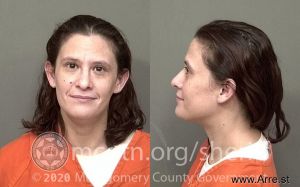 Stephanie Mason Arrest Mugshot