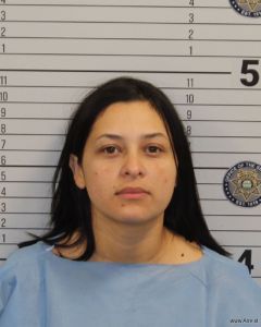 Yidalbris Salas Arrest Mugshot